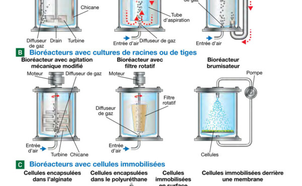 Quels sont les bioréacteurs utilisés pour la biolixiviation?